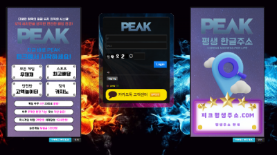 피크(Peak)