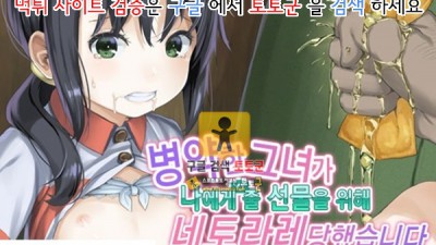 어른애니망가 네토라레 당했습니다