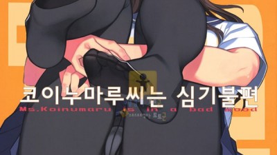 먹튀검증 토토군 어른애니망가 코이누마루씨는 심기불편