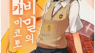 먹튀검증 토토군 어른애니망가 어떤비밀의 미사카미코토