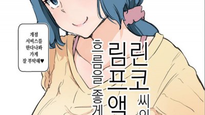 어른애니 망가 린코씨의 림프액의 흐름을 좋아하는 책