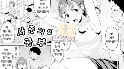 어른 애니망가 사춘기의 공부